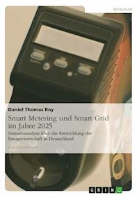 Smart Metering und Smart Grid im Jahre 2025 - Daniel Thomas Roy - E-Book