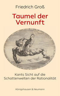 Taumel der Vernunft - Friedrich Groß - E-Book