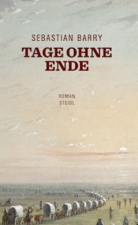 Tage ohne Ende - Sebastian Barry - E-Book