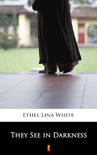 They See in Darkness - Ethel Lina White - E-Book