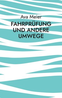 Fahrprüfung und andere Umwege - Ava Meier - E-Book