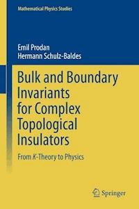 Bulk and Boundary Invariants for Complex Topological Insulators - Emil Prodan - E-Book
