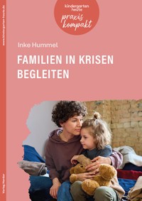Familien in Krisen begleiten - Inke Hummel - E-Book