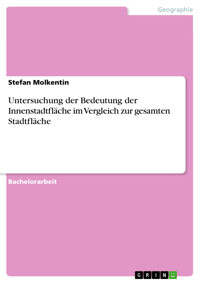 Untersuchung der Bedeutung der Innenstadtfläche im Vergleich zur gesamten Stadtfläche - Stefan  Molkentin - E-Book