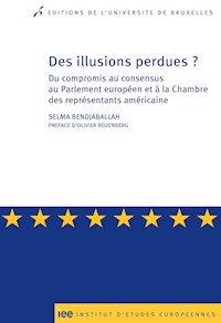 Des illusions perdues ? - Selma Bendjaballah - E-Book