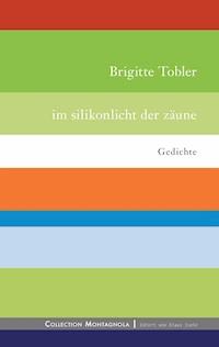 Im Silikonlicht der Zäune - Brigitte Tobler - E-Book