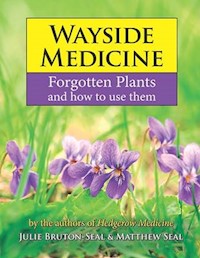 Wayside Medicine - Julie Bruton-Seal - E-Book