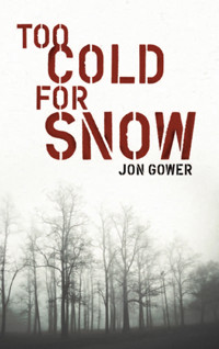Too Cold for Snow - Jon Gower - E-Book