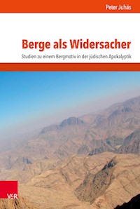 Berge als Widersacher - Peter Juhás - E-Book