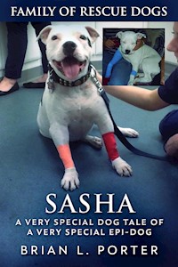 Sasha - Brian L. Porter - E-Book