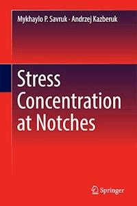 Stress Concentration at Notches - Mykhaylo P. Savruk - E-Book