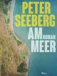 Am Meer - Peter Seeberg - E-Book