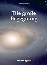 DIE GROSSE BEGEGNUNG: Befreiung von der Dunkelheit - Herbert Viktor Speer - E-Book
