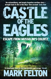 Castle of the Eagles - Mark Felton - E-Book