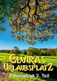 Elviras Urlaubsplatz - Roman Moore - E-Book