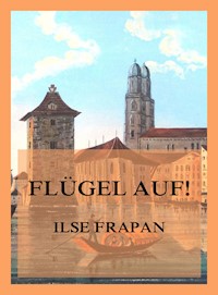 Flügel auf! - Ilse Frapan - E-Book