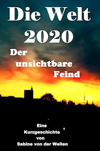 Die Welt 2020 - Sabine von der Wellen - E-Book