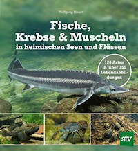 Fische, Krebse & Muscheln in heimischen Seen und Flüssen - Wolfgang Hauer - E-Book
