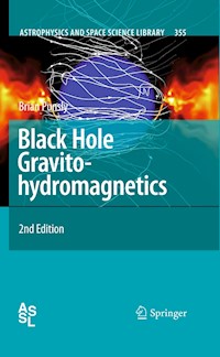 Black Hole Gravitohydromagnetics - Brian Punsly - E-Book