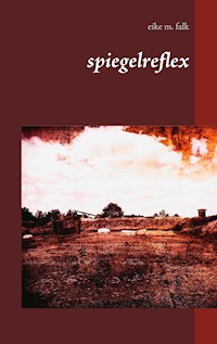 spiegelreflex - Eike M. Falk - E-Book