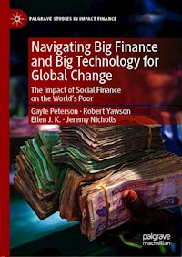 Navigating Big Finance and Big Technology for Global Change - Gayle Peterson - E-Book