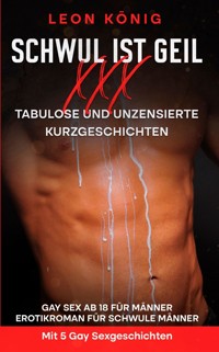Schwul ist geil XXX - Tabulose Kurzgeschichten - Leon König - E-Book