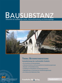BAUSUBSTANZ Thema: Betoninstandsetzung - Gabriele Patitz - E-Book