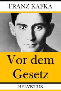Vor dem Gesetz - Franz  kafka - E-Book