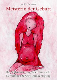 Meisterin der Geburt - Jobina Schenk - E-Book