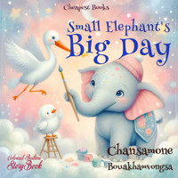 Small Elephant's Big Day - Chansamone Bouakhamvongsa - E-Book