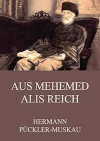 Aus Mehemed Alis Reich - Hermann Pückler-Muskau - E-Book