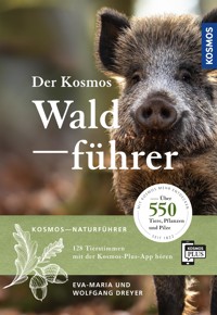 Der Kosmos Waldführer - Wolfgang Dreyer - E-Book