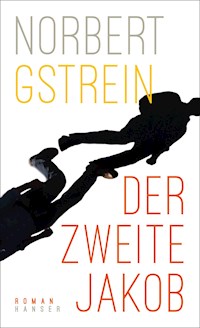 Der zweite Jakob - Norbert Gstrein - E-Book