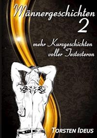 Männergeschichten 2 - Torsten Ideus - E-Book
