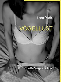 VögelLust Sammelband - Kora Platin - E-Book