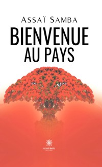 Bienvenue au pays - Assaï Samba - E-Book