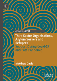 Third Sector Organisations, Asylum Seekers and Refugees - Matthew Davis - E-Book