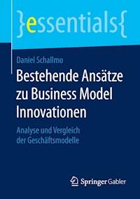 Bestehende Ansätze zu Business Model Innovationen - Daniel Schallmo - E-Book