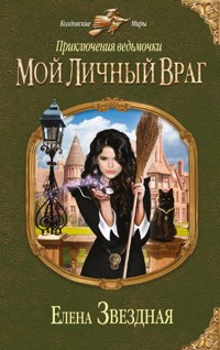 Мой личный враг - Елена Звездная - E-Book