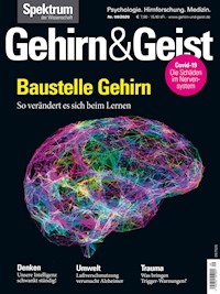 Gehirn&Geist 9/2020 Baustelle Gehirn -  - E-Book