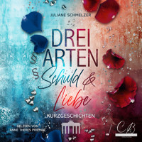 Drei Arten Schuld und Liebe - Juliane Schmelzer - Hörbuch