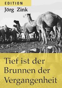 Tief ist der Brunnen der Vergangenheit - Jörg Zink - E-Book