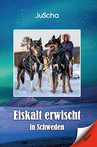 Eiskalt erwischt… in Schweden - JuScha - E-Book