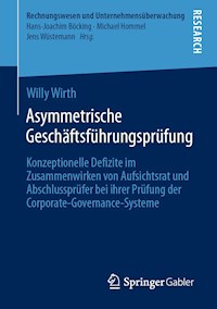 Asymmetrische Geschäftsführungsprüfung - Willy Wirth - E-Book