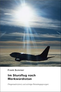 Im Sturzflug nach Merkwürdistan - Frank Sommer - E-Book