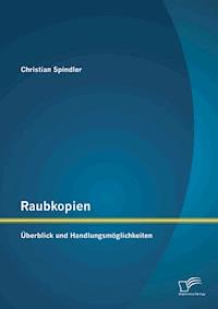 Raubkopien: Überblick und Handlungsmöglichkeiten - Christian Spindler - E-Book