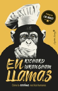 En llamas - Richard Wrangham - E-Book