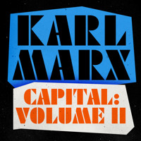Capital: Volume 2 - Karl Marx - Hörbuch