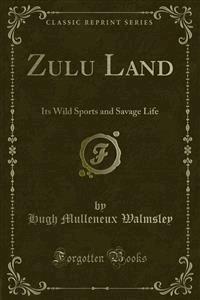 Zulu Land - Hugh Mulleneux Walmsley - E-Book