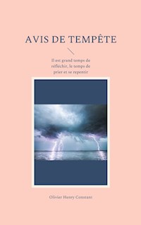 Avis de tempête - Olivier Henry Constant - E-Book